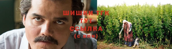 гашик Бронницы