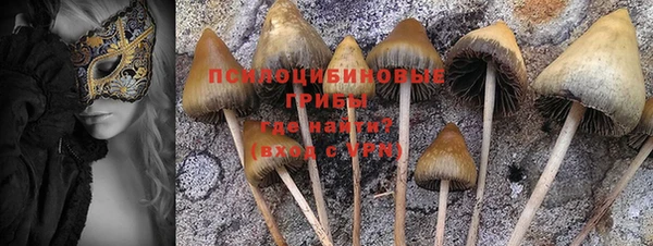 гашик Бронницы