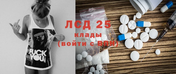 эйфоретик Бородино