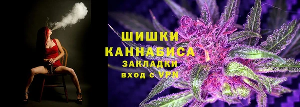 эйфоретик Бородино