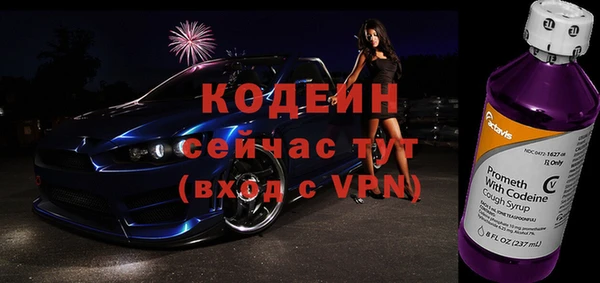 эйфоретик Бородино