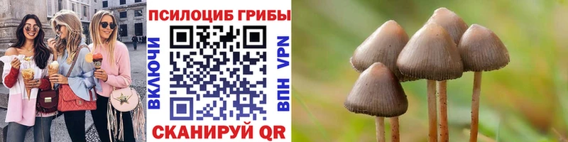 Псилоцибиновые грибы Magic Shrooms  Купить закладки  Тайга 